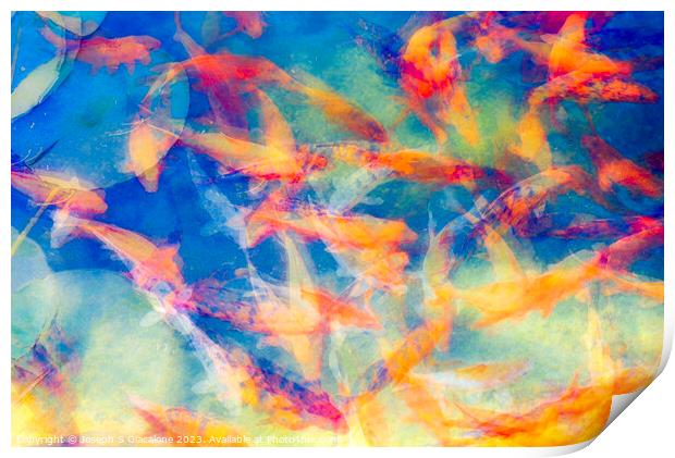 A Colorful Confusion Of Koi Print by Joseph S Giacalone
