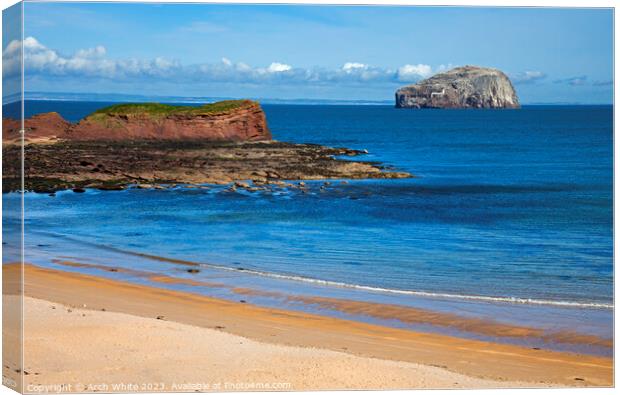 Bass Rock, Firth of Forth, East Lothian, Scotland, Canvas Print by Arch White