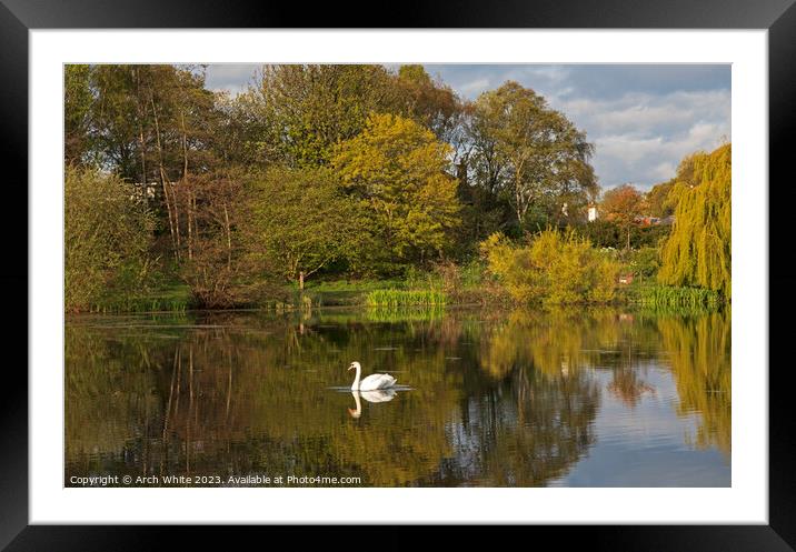 UK weather: Calm with sunshine at Figgate park, Ed Framed Mounted Print by Arch White