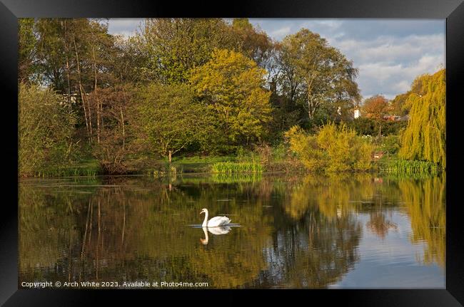 UK weather: Calm with sunshine at Figgate park, Ed Framed Print by Arch White