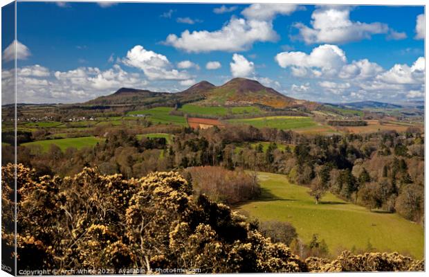 Scott's View, Eildon Hills in background, Melrose, Canvas Print by Arch White