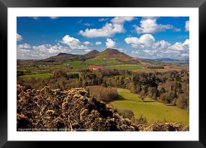 Scott's View, Eildon Hills in background, Melrose, Framed Mounted Print by Arch White