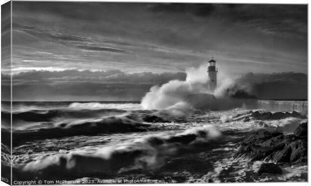Stormy Seascape 24 Canvas Print by Tom McPherson