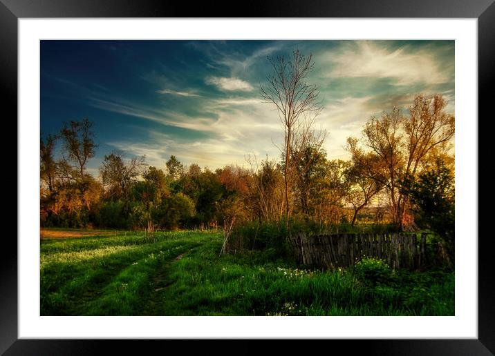 Country road in the green field Framed Mounted Print by Dejan Travica