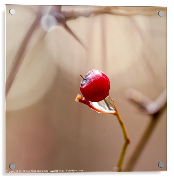 Hawthorn Berry Acrylic by Simon Johnson