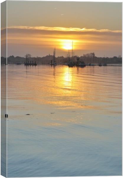 Sunrise colours over the Brightlingsea moorings  Canvas Print by Tony lopez