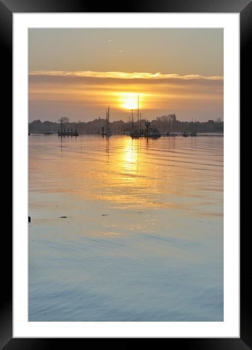 Sunrise colours over the Brightlingsea moorings  Framed Mounted Print by Tony lopez