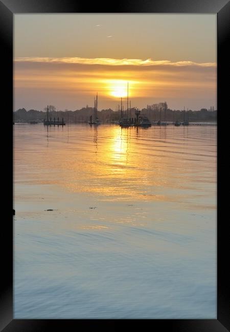 Sunrise colours over the Brightlingsea moorings  Framed Print by Tony lopez
