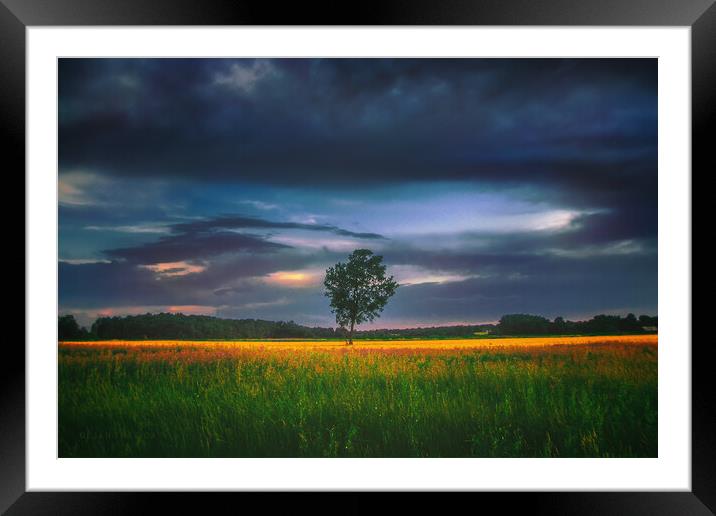 Lonely tree in the field Framed Mounted Print by Dejan Travica