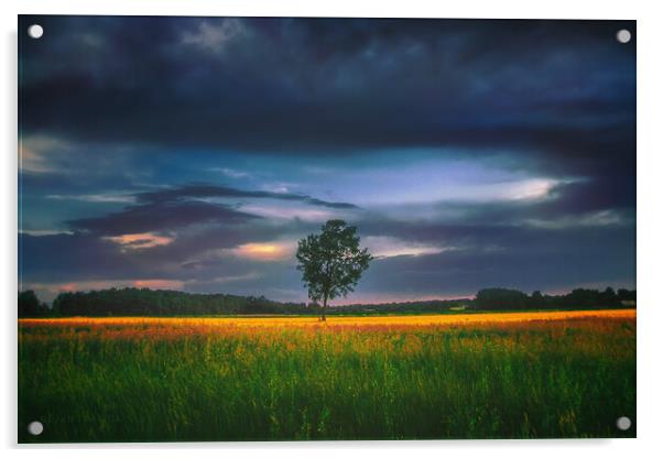 Lonely tree in the field Acrylic by Dejan Travica