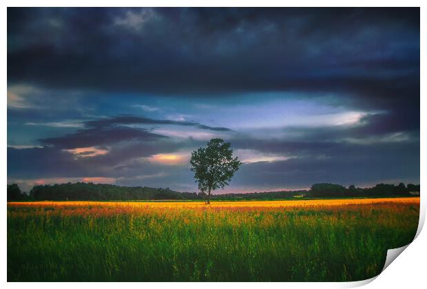 Lonely tree in the field Print by Dejan Travica