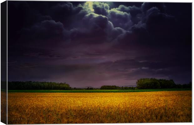  Wheat field under the purple sky Canvas Print by Dejan Travica