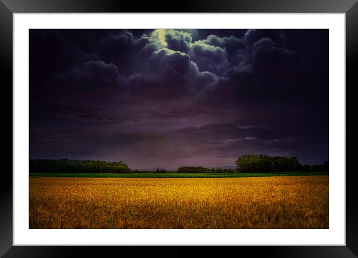  Wheat field under the purple sky Framed Mounted Print by Dejan Travica
