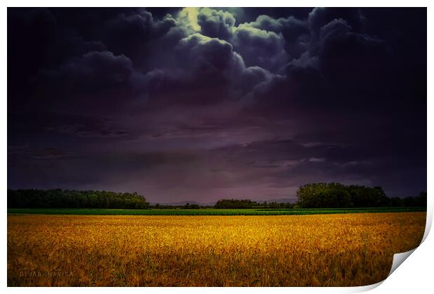  Wheat field under the purple sky Print by Dejan Travica