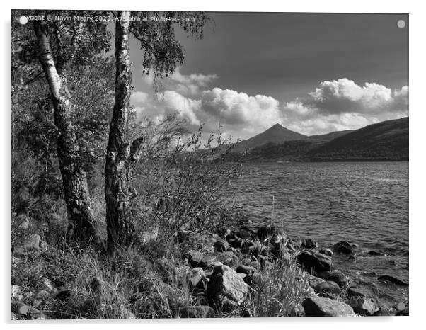 A view of Schiehallion from Loch Rannoch Acrylic by Navin Mistry