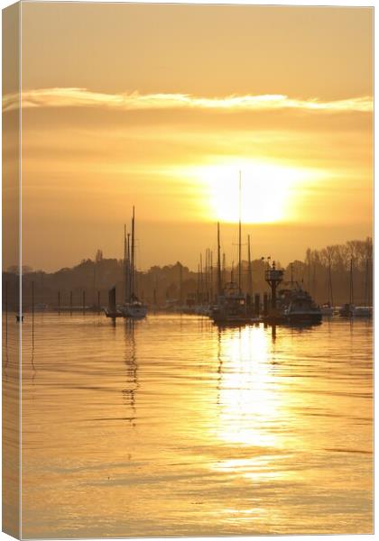 Sun rising over the Brightlingsea moorings  Canvas Print by Tony lopez
