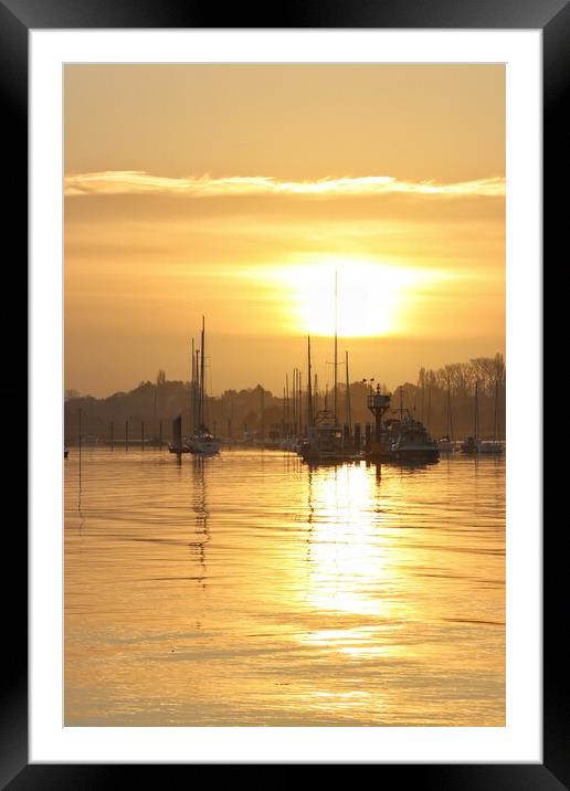 Sun rising over the Brightlingsea moorings  Framed Mounted Print by Tony lopez