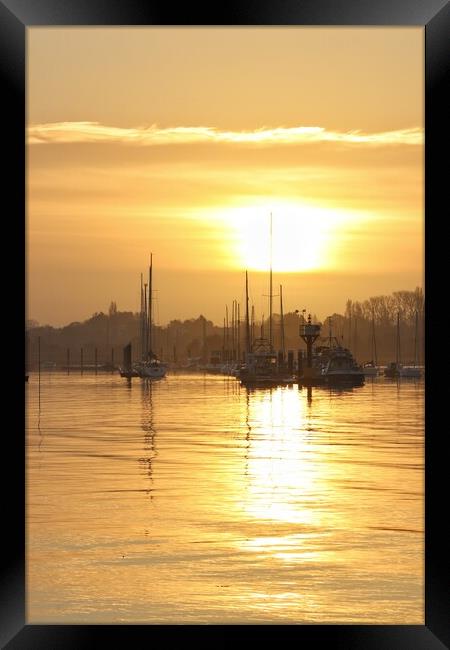 Sun rising over the Brightlingsea moorings  Framed Print by Tony lopez