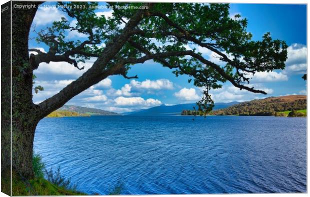 A view of Loch Rannoch, Perthshire Canvas Print by Navin Mistry