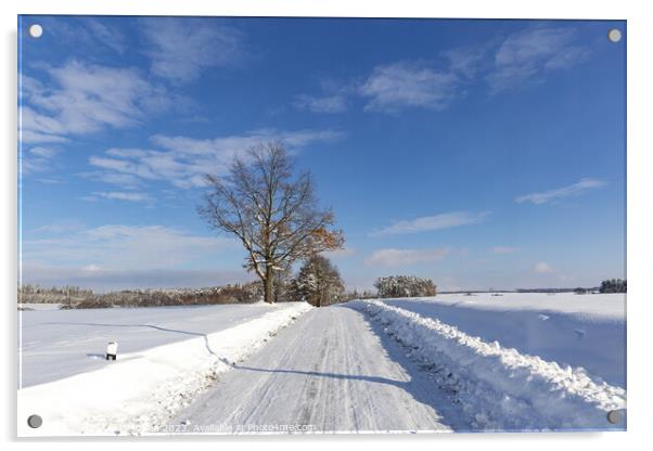 Road in the countryside after heavy snowfall in central Europe Acrylic by Sergey Fedoskin