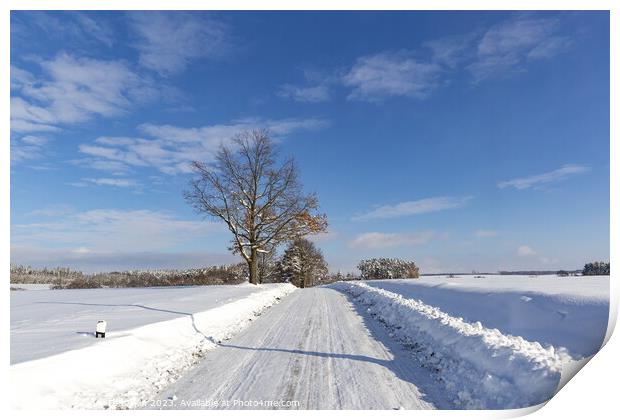 Road in the countryside after heavy snowfall in central Europe Print by Sergey Fedoskin