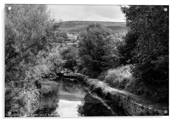 Huddersfield Narrow Canal Monochrome Acrylic by Diana Mower