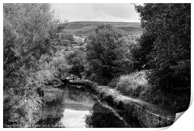 Huddersfield Narrow Canal Monochrome Print by Diana Mower