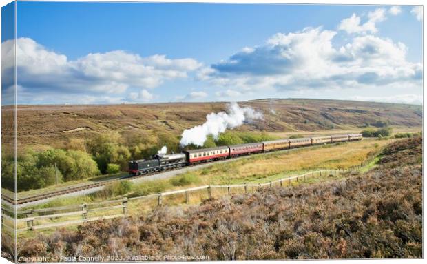 Steaming over the moors Canvas Print by Paula Connelly