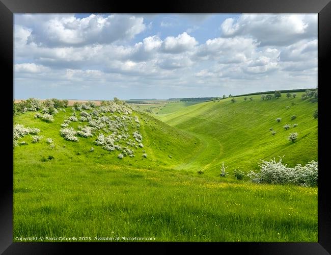 Holm Dale in the Yorkshire Wolds Framed Print by Paula Connelly