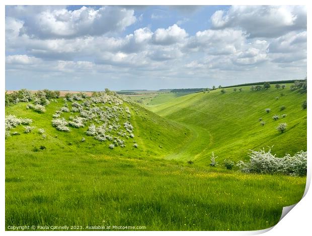 Holm Dale in the Yorkshire Wolds Print by Paula Connelly