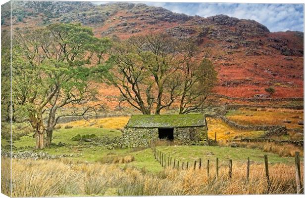 Lake District Landscape Canvas Print by Martyn Arnold
