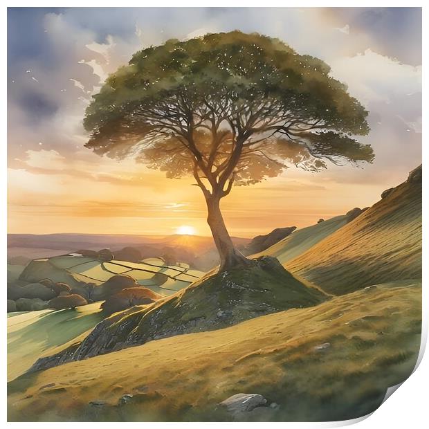 Sycamore Tree in Watercolour Print by Scott Anderson