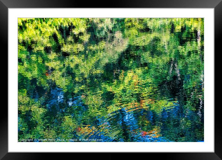 Orange Fall Leaves Green Reflection Abstract Autumn Habikino Osa Framed Mounted Print by William Perry