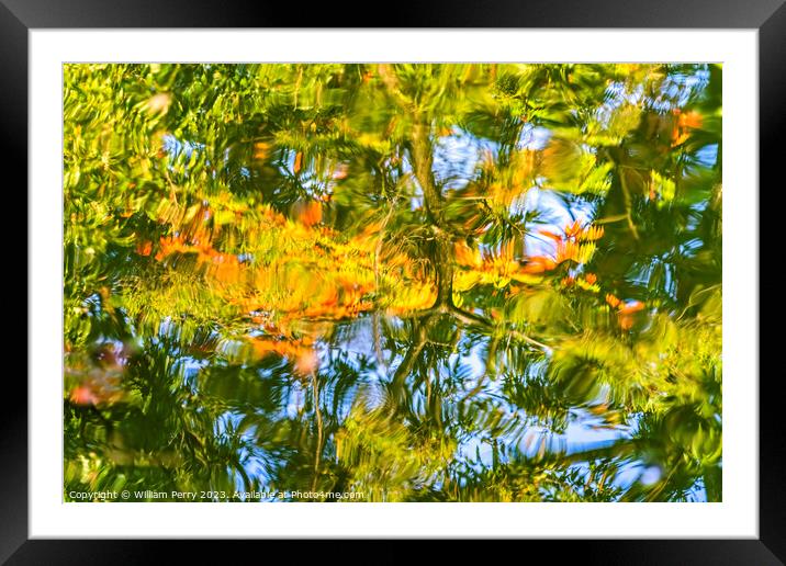 Tree Orange Green Blue Water Reflection Abstract Habikino Japan Framed Mounted Print by William Perry