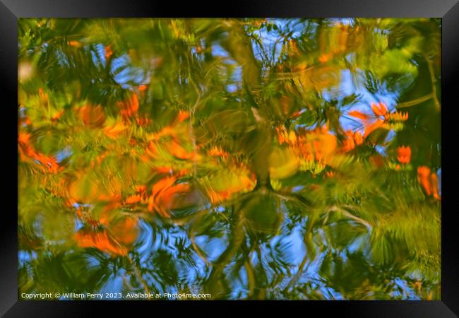 Tree Orange Green Blue Water Reflection Abstract Habikino Japan Framed Print by William Perry