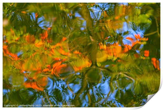Tree Orange Green Blue Water Reflection Abstract Habikino Japan Print by William Perry