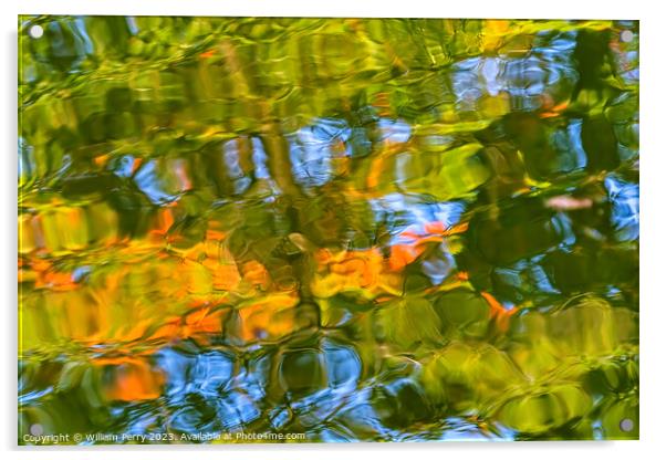 Tree Orange Green Blue Water Reflection Abstract Habikino Japan Acrylic by William Perry