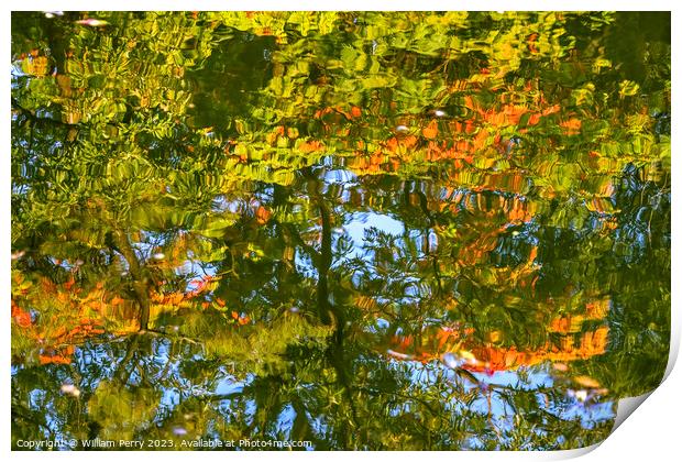 Tree Orange Green Blue Water Reflection Abstract Habikino Japan Print by William Perry