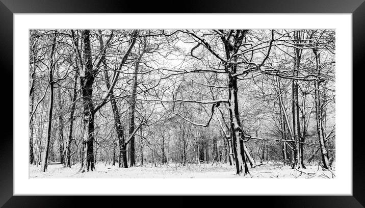 Snow slapped trees in black and white Framed Mounted Print by Cliff Kinch