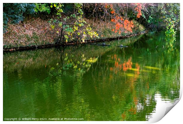 Orange Fall Leaves Green Reflection Autumn Habikino Osaka Japan Print by William Perry