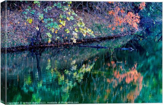 Orange Fall Leaves Green Reflection Autumn Habikino Osaka Japan Canvas Print by William Perry