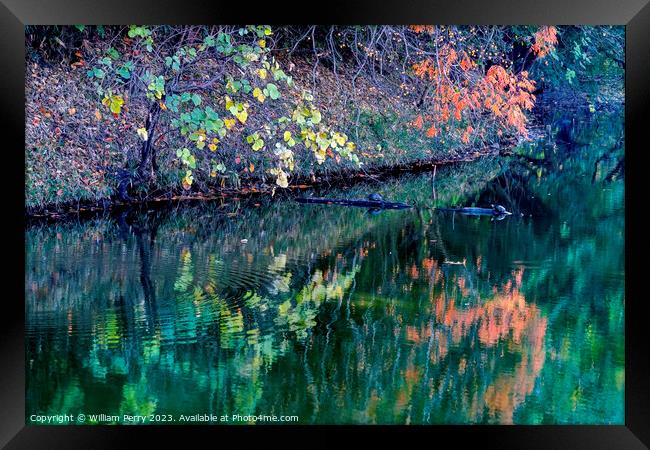 Orange Fall Leaves Green Reflection Autumn Habikino Osaka Japan Framed Print by William Perry