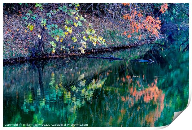 Orange Fall Leaves Green Reflection Autumn Habikino Osaka Japan Print by William Perry