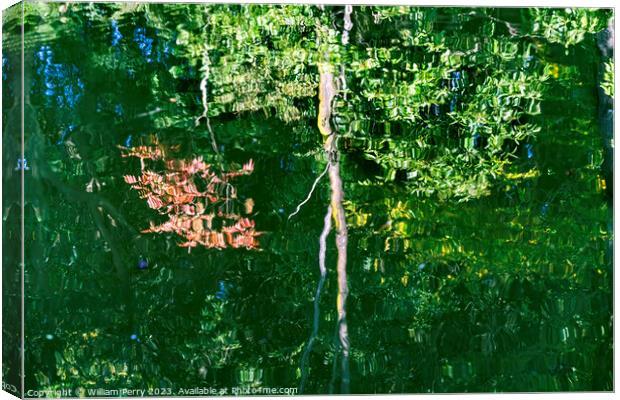 Tree Red Green Grey Water Reflection Abstract Habikino Japan Canvas Print by William Perry