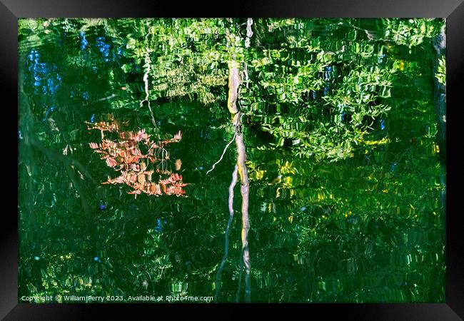 Tree Red Green Grey Water Reflection Abstract Habikino Japan Framed Print by William Perry