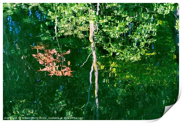 Tree Red Green Grey Water Reflection Abstract Habikino Japan Print by William Perry