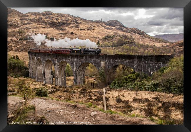 Glenfinnan Viaduct, West highland Line used as Harry Potter Filming  Framed Print by Holly Burgess