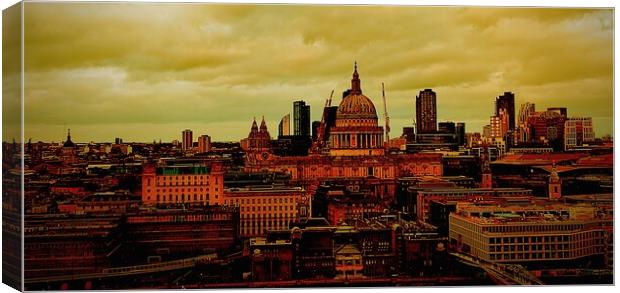St Paul's Cathedral  Canvas Print by Rachael Smith