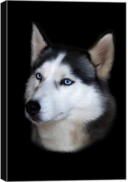 Siberian Husky Portrait Canvas Print by Julie Hoddinott