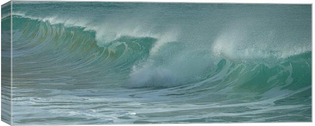 Cornwall waves Canvas Print by kathy white